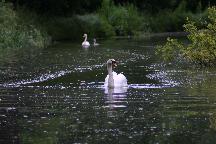 meIMG_3751.jpg