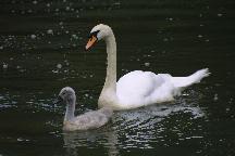 meIMG_3754.jpg