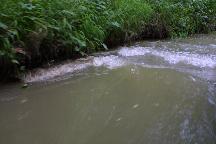meIMG_3778.jpg