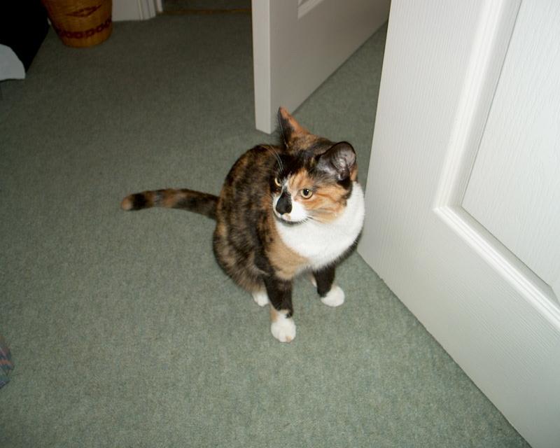 meIM000308.jpg