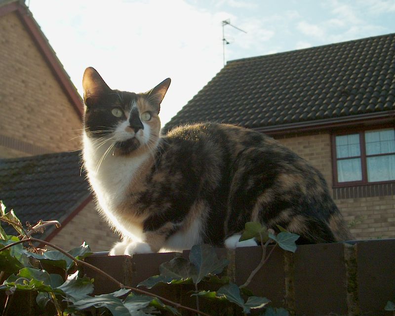 meIM000490.jpg