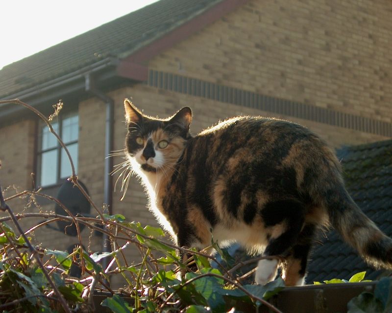 meIM000492.jpg