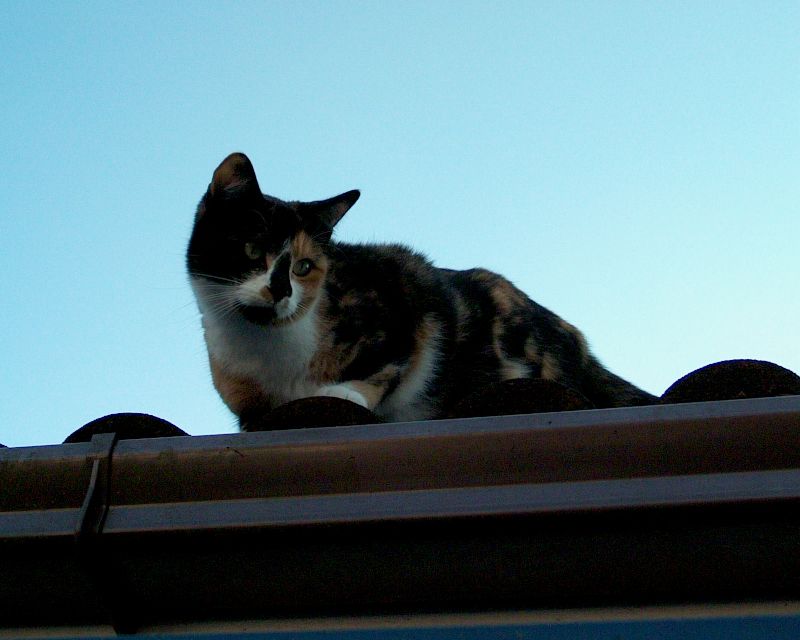 meIM000495.jpg