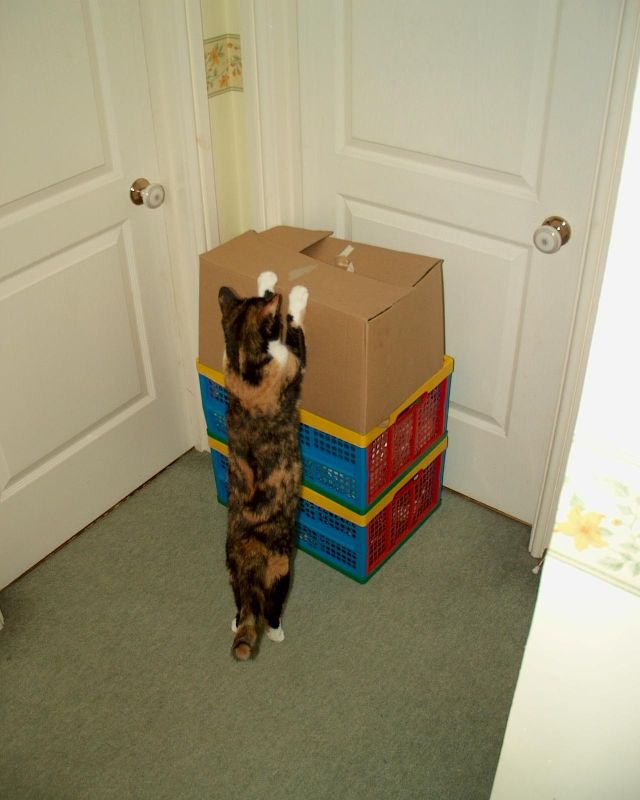 meIM000805.jpg
