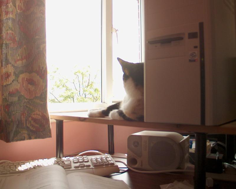 meIM000891.jpg