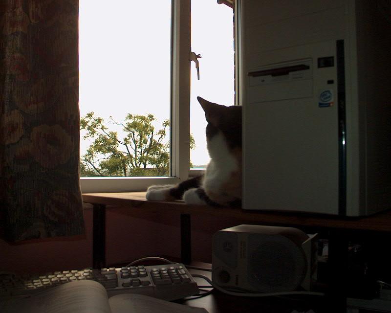 meIM000893.jpg