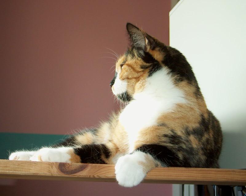 meIM000901.jpg