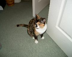 meIM000308.jpg
