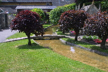 meIMG_1491.jpg