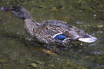 meIMG_1500.jpg