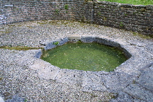 meIMG_1518.jpg