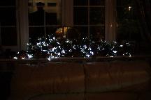 meIMG_0212.jpg
