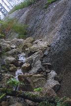 meIMG_1120.jpg