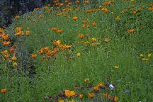meIMG_1121.jpg