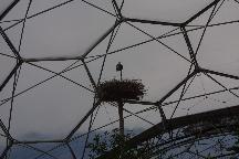 meIMG_1122.jpg
