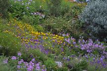 meIMG_1123.jpg