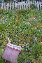 meIMG_1124.jpg