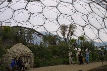 meIMG_1131.jpg