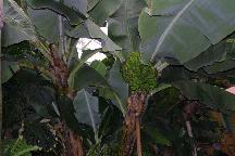 meIMG_1134.jpg