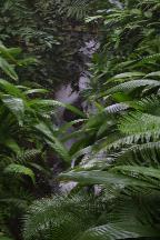 meIMG_1137.jpg