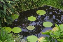 meIMG_1141.jpg