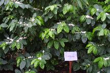 meIMG_1150.jpg