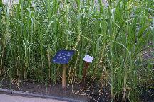 meIMG_1151.jpg