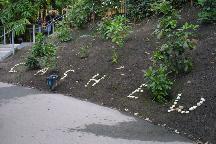 meIMG_1152.jpg