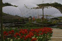meIMG_1154.jpg