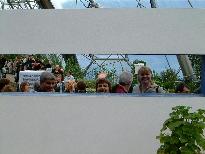 mePicture350.jpg