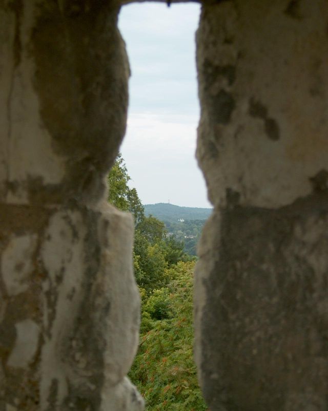 meIM001221.jpg