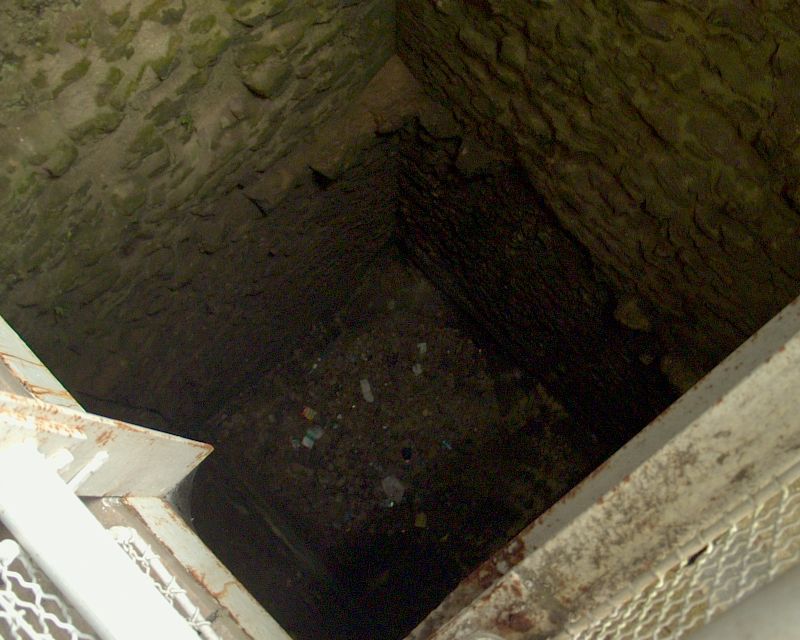 meIM001224.jpg