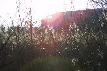 meIMG_0342.jpg