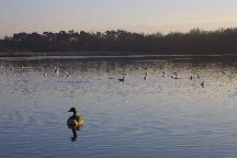 meIMG_0344.jpg