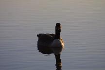 meIMG_0347.jpg