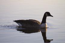 meIMG_0348.jpg