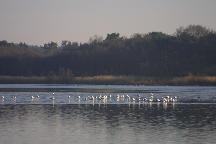 meIMG_0349.jpg