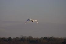 meIMG_0350.jpg