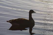meIMG_0351.jpg