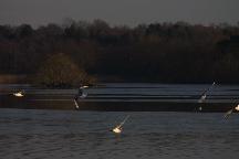 meIMG_0355.jpg