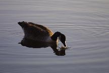 meIMG_0356.jpg