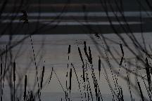 meIMG_0361.jpg