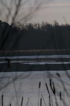 meIMG_0362.jpg