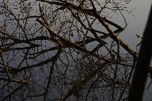 meIMG_0364.jpg