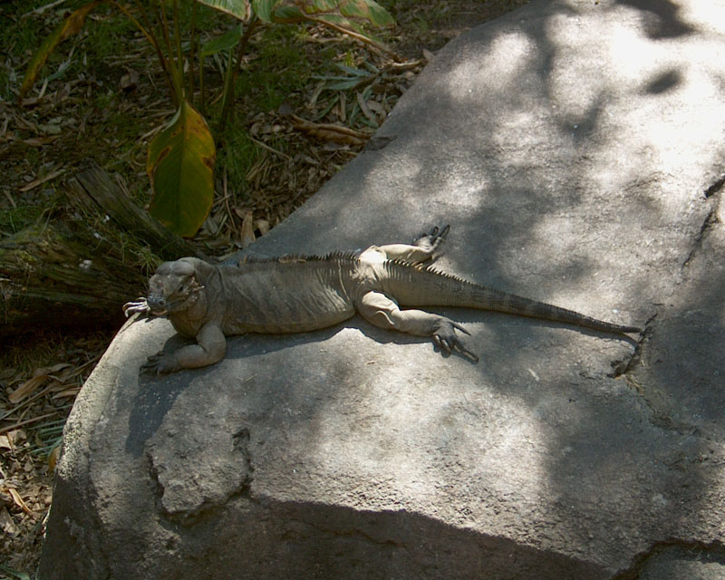 me000491.jpg