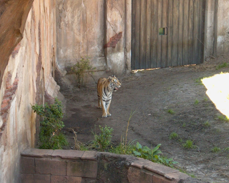 me000495.jpg