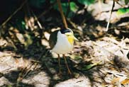 me000020.jpg