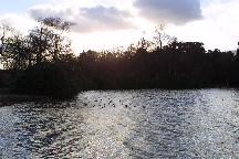 meIMG_2283.jpg
