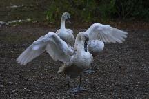 meIMG_2289.jpg