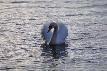 meIMG_2293.jpg